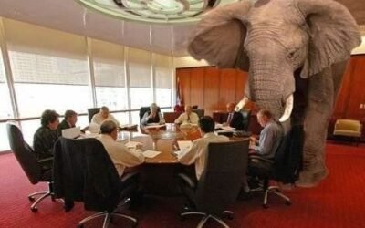 AM 0341 – Fique atento ao elefante na sala.